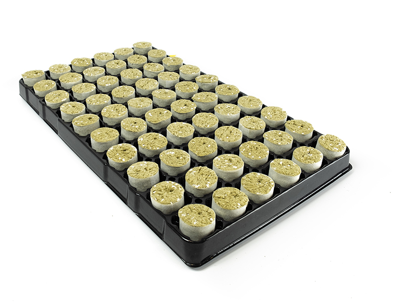 Lumora Horticulture Gewächshaus